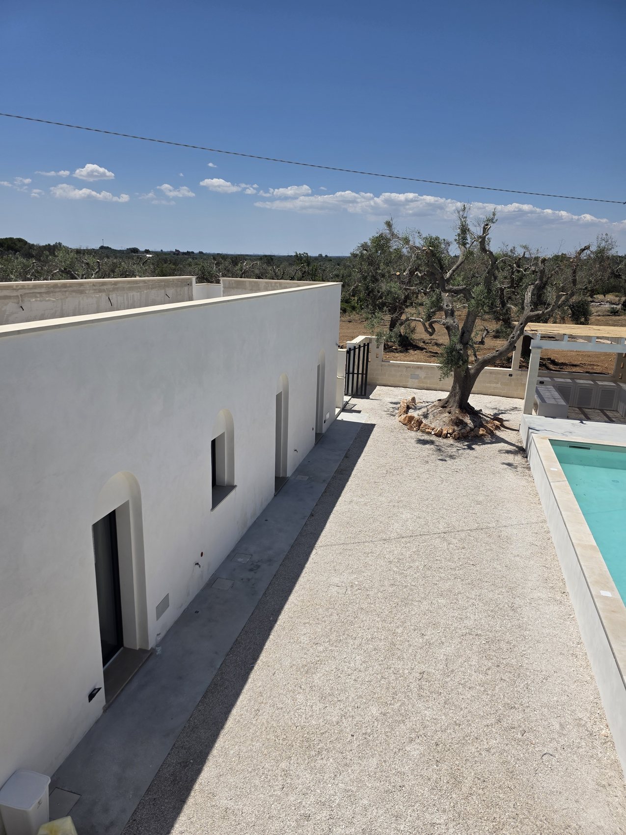 La villa blanche de Casa Andrea vue le long de la terrasse — un volume bas à toit plat, blanchi à la chaux, ses fenêtres aux renfoncements cintrés, l'allée de gravier menant à l'olivier et à la piscine, l'oliveraie derrière, Pouilles.
