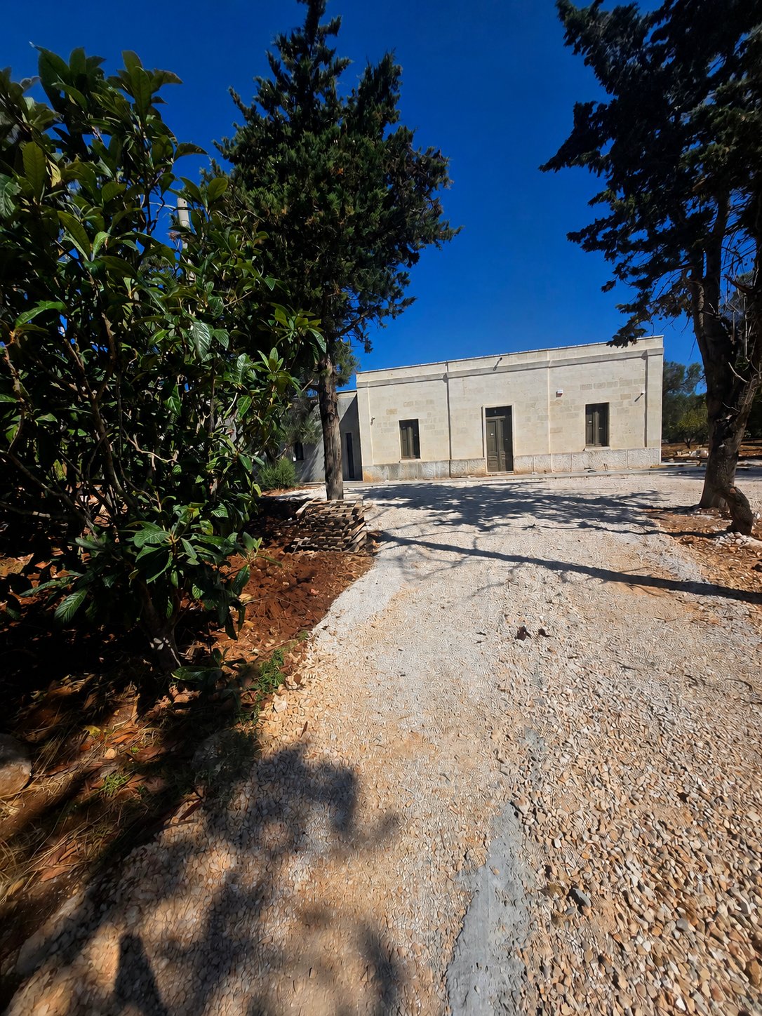 The restored facade of Casa Andrea's original casale, approached from the gravel path, cypress trees on each side.